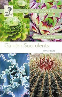 Terry Hewitt / Garden Succulents (Large Paperback)