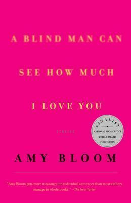 Amy Bloom / A Blind Man Can See How Much I Love You (Large Paperback)