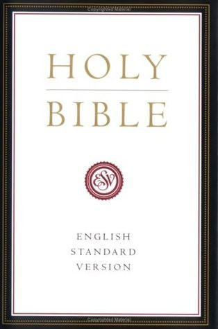English Standard Version / Holy Bible (Large Paperback)