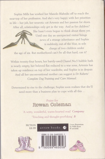 Rowan Coleman / The Accidental Mother