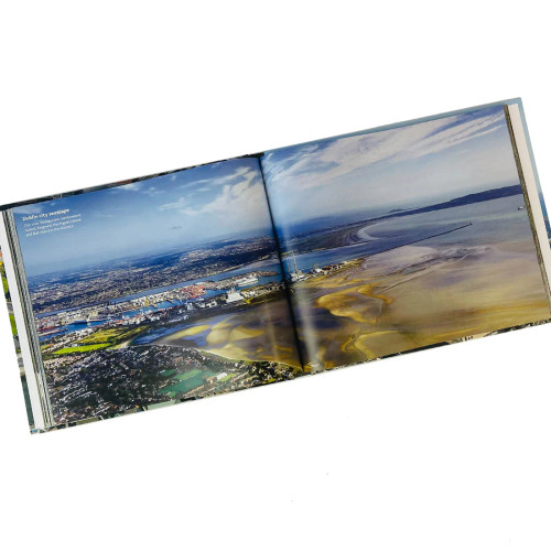 Dennis Horgan - Dublin From the Air - Photography - HB - BRAND NEW