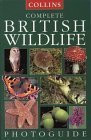 Paul Sterry / Complete British Wildlife Photoguide (Large Paperback)
