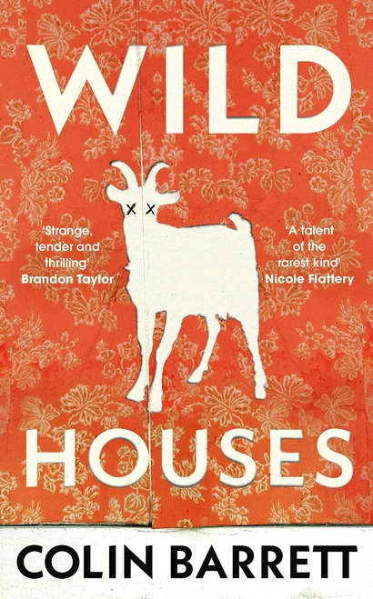 Colin Barrett / Wild Houses (Hardback)