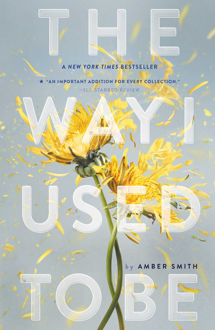 Amber Smith / The Way I Used to Be (Large Paperback)
