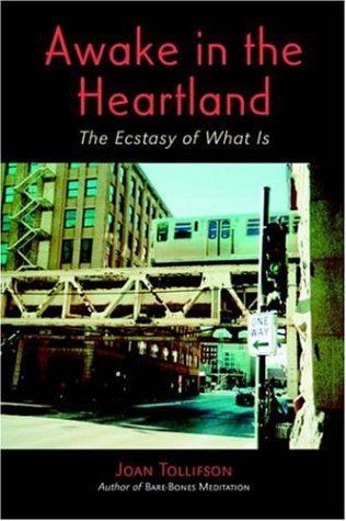 Joan Tollifson / Awake in the Heartland (Large Paperback)