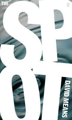 David Means / The Spot