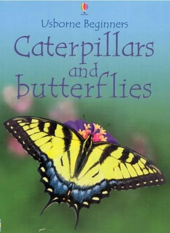 Stephanie Turnbull / Caterpillars and Butterflies (Large Paperback)