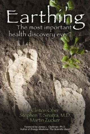 Clinton Ober / Earthing (Large Paperback)