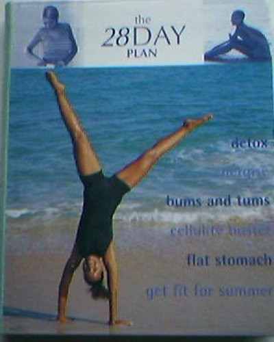 Christine Green / The 28 Day Plan (Large Paperback)