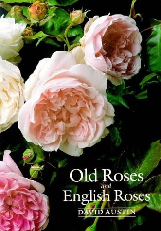 David Austin / Old Roses and English Roses (Large Paperback)