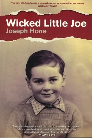 Joseph Hone / Wicked Little Joe (Large Paperback)