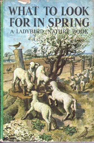 Ladybird / What to Look forin Spring (Vintage)
