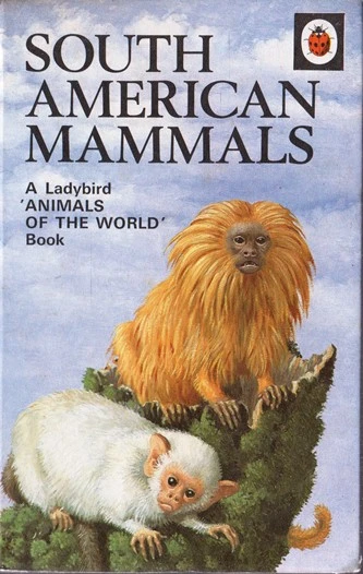 Ladybird / South American Mammals (Vintage)