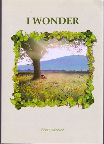 Eileen Acheson / I Wonder (Large Paperback)