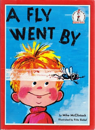 Mike McClintock / A Fly went by (Large Paperback)