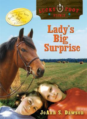 JoAnn S. Dawson / Lady's Big Surprise (Large Paperback)