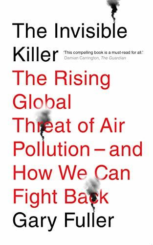 Gary Fuller /The Invisible Killer (Large Paperback)