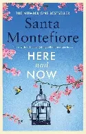 Santa Montefiore / Here and Now (Hardback)