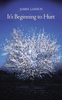 James Lasdun / It's Beginning To Hurt (Hardback)