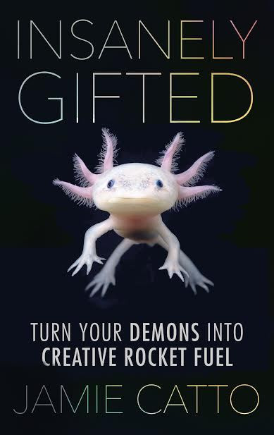 Jamie Catto / Insanely Gifted (Large Paperback)