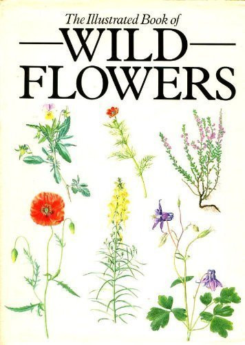 Pamela Bristow / The Illustrated Book of Wild Flowers (Coffee Table Book)