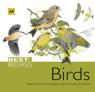 AA Publishing / Best of Britain's Birds: Beautifully Illustrated Guide to Over 250 Species (Coffee Table Book)