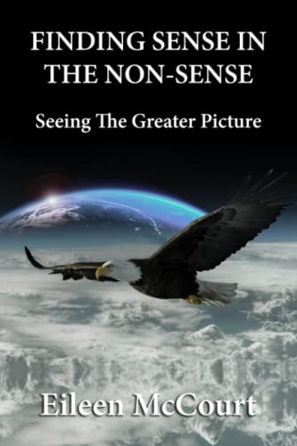 Eileen McCourt / Finding sense in the non-sense (Large Paperback)