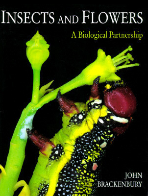 John Brackenbury / Insects and Flowers: A Biological Partnership (Coffee Table Book)
