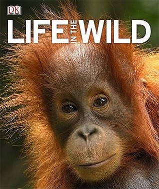 Thomas Marent / Life In The Wild (Coffee Table Book)
