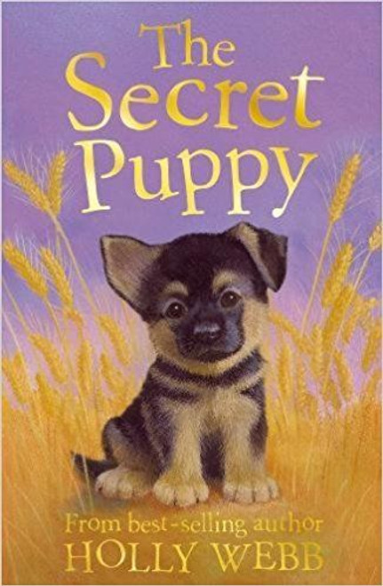 Holly Webb / The Secret Puppy