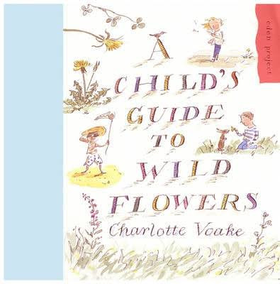 Charlotte Voake / A Child's Guide to Wild Flowers (Children's Coffee Table book)