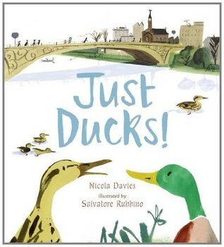 Nicola Davies / Just Ducks! (Children's Coffee Table book)