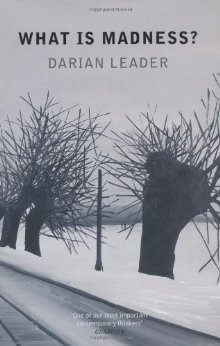 Darian Leader / What Is Madness? (Hardback)