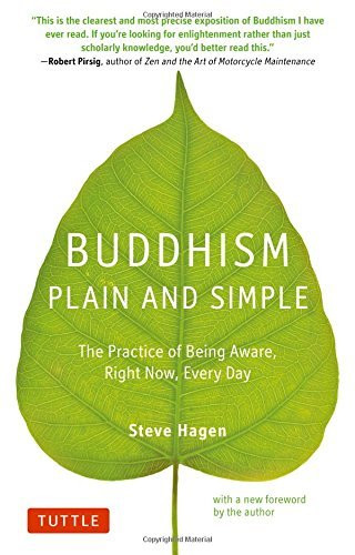 Steve Hagen / Buddhism Plain and Simple (Large Paperback)