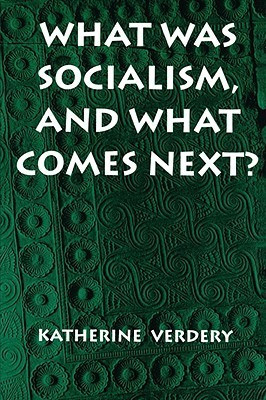 Katherine Verdery / What Was Socialism, and What Comes Next? (Large Paperback)
