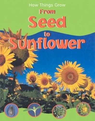 Sally Morgan / From Seed to Sunflower (Children's Picture Book)