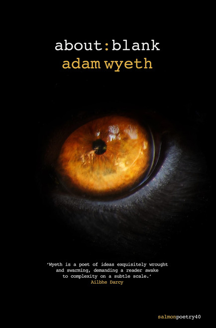 Adam Wyeth / about:blank (Salmon Poetry) (Unused)