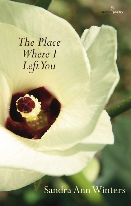 Sandra Ann Winters / The Place Where I Left You (Salmon Poetry) (Unused)