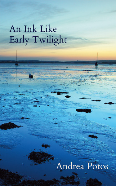 Andrea Potos / An Ink Like Early Twilight (Salmon Poetry) (Unused)