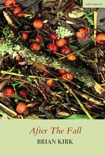 Brian Kirk / After The Fall (Salmon Poetry) (Unused)