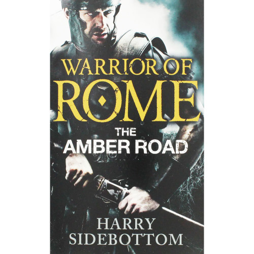 Harry Sidebottom / The Amber Road