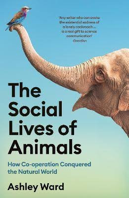 Ashley Ward / The Social Lives of Animals