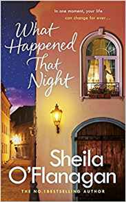 Sheila O'Flanagan / What Happened That Night (Large Paperback)