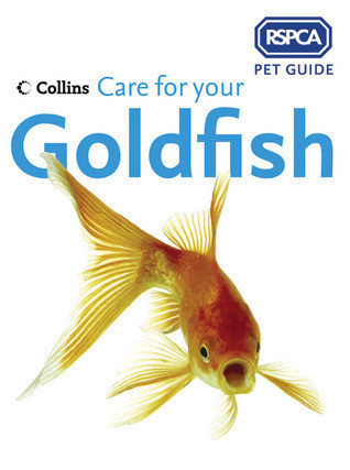 Steve Cheetham / Care for Your Goldfish (Children's Coffee Table book)