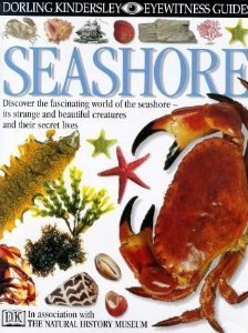 Steve Parker / Seashore (Children's Coffee Table book)