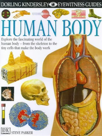 Steve Parker / Human Body (Children's Coffee Table book)