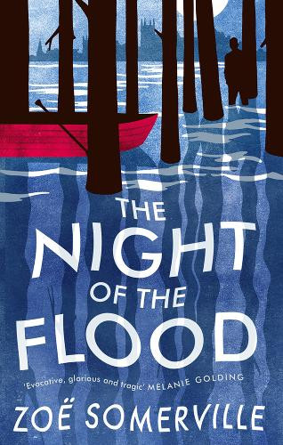 Zoë Somerville / The Night of the Flood (Hardback)