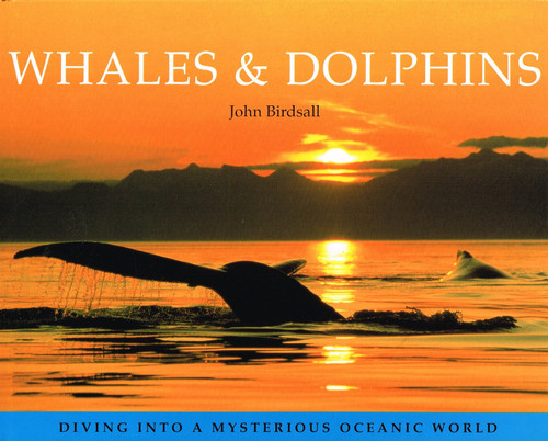 John Birdsall / Whales and Dolphins (Coffee Table Book)
