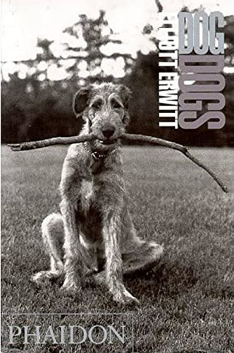 Elliott Erwitt / Dogdogs