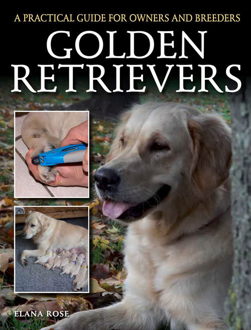 Elana Rose / Golden Retrievers: A Practical Guide for Owners and Breeders (Coffee Table Book)